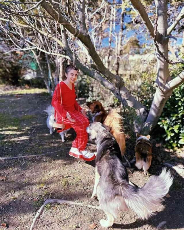 Sokak hayvanlarıyla ilgili düzenlemeyi gören Ceylan Ertem tehditler savurdu