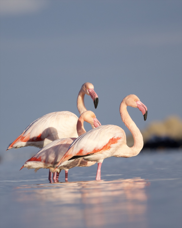 Mumbai değil Kastamonu! Vatandaşlar hemen telefona sarıldı