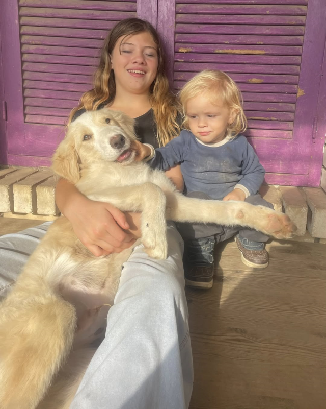 Yunanistan'da pitbull dehşeti: 2 yaşındaki çocuk hayatını kaybetti