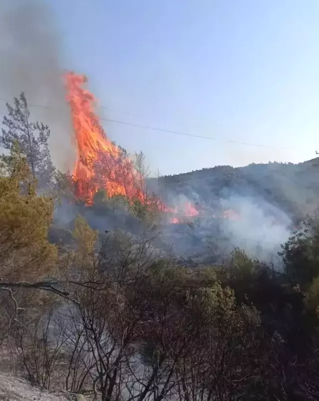Türkiye yangın yeri! Hatay ve Manisa'dan da alevler yükseldi