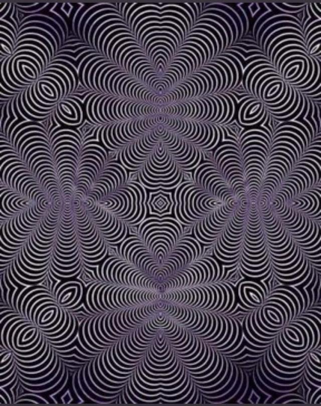 Bu görselde kedi görenler beyninin sağ lobunu, geyik görenler sol lobunu kullanıyor