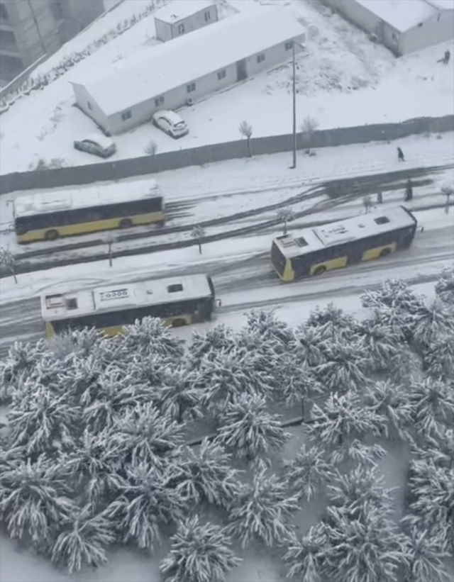 İstanbul'da Kar Yağışında İlginç Anlar: Mayo ile Denize Giren Adam