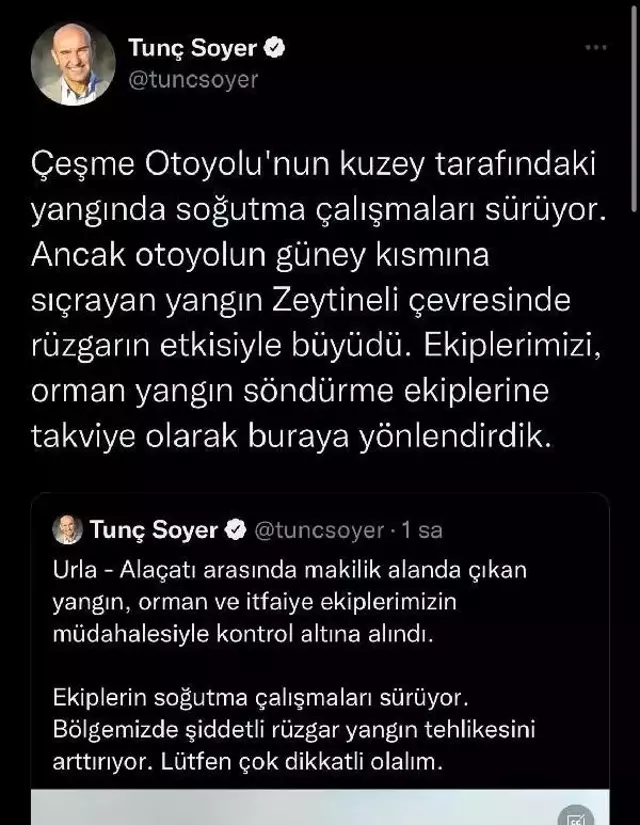 Son dakika haberleri: Çeşme'de makilik yangını (3)