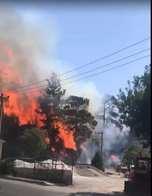 Marmaris'te yerleşim yerinin yakınında orman yangını çıktı