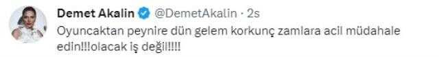 Zamlara isyan eden Demet Akalın, kendisini eleştiren takipçisine tepki gösterdi