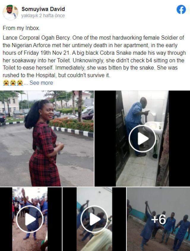 Tuvalete oturduğu sırada dünyanın en ölümcül yılanı tarafından sokulan kadın öldü