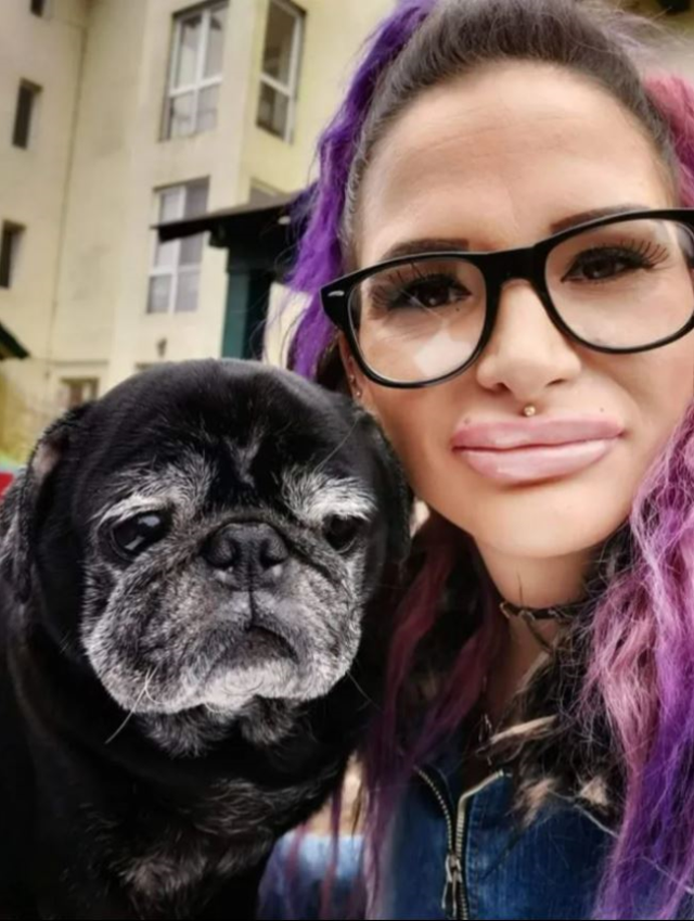Evinde ölen kadının cesedini beslediği köpekleri parçaladı