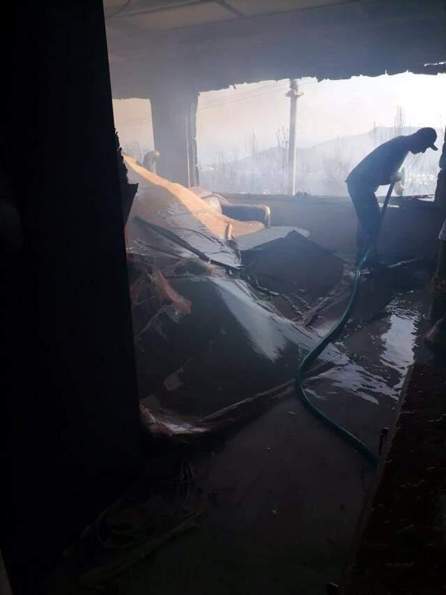 Kaş'ta korkutan orman yangını! Yerleşim yerleri de zarar gördü