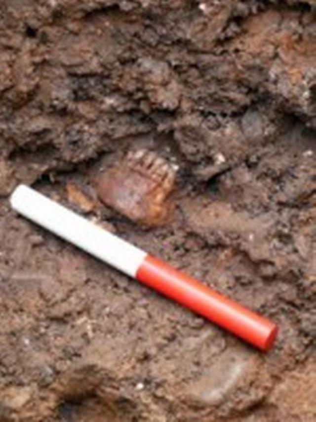 Şehrin tıkanan borularını tamir etmek için kazı yapan işçiler, korkunç gerçeği ortaya çıkardı! Her yerden kemik fışkırdı