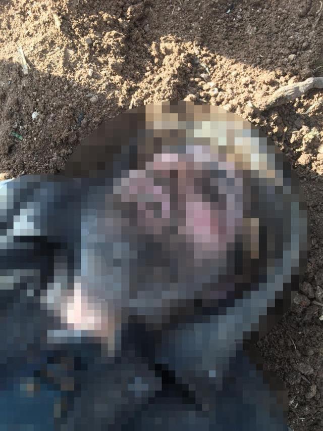 İki polisi şehit eden saldırgan ölü ele geçirildi