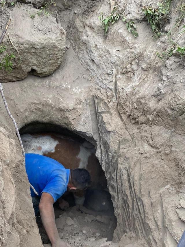 Tüm köyde arıyorlardı! Definecilerin kazdığı kuyunun içine giren ekip büyük sevinç yaşadı
