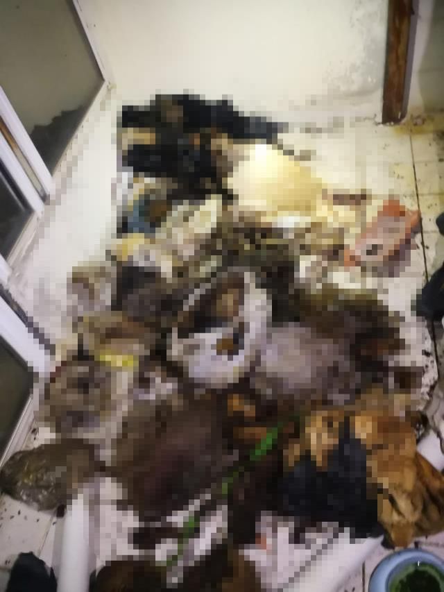 Gizemli evden gelen ihbara giden yetkililer, içeri girdiklerinde korkunç bir manzarayla karşılaştı