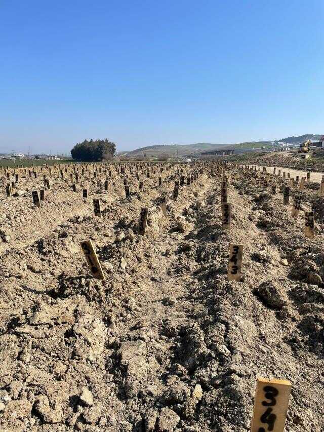 Depremin yıktığı Hatay'da cenazelerin defnedildiği alan görüntülendi