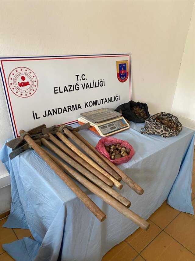 Koruma altında olan salep soğanı toplayan 6 kişiye 1 milyon 464 bin lira ceza kesildi