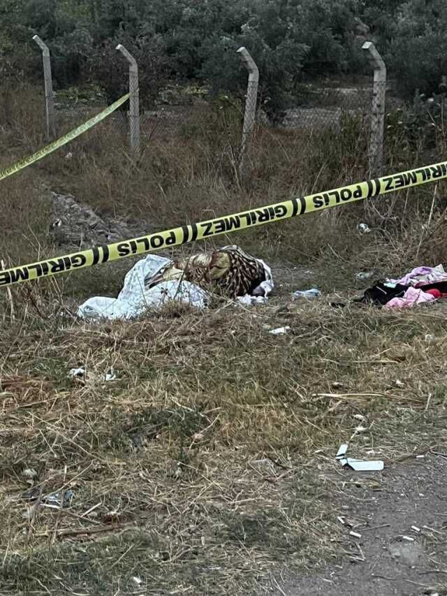 Denizli'de fare zehriyle öldürülen kadının sevgilisi intihar ettiğini iddia etti