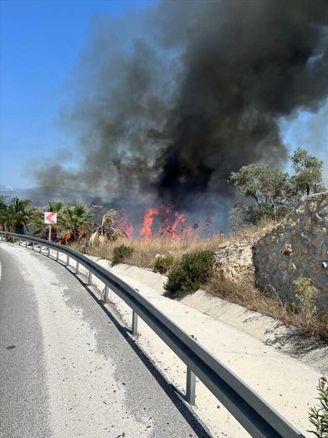 Bodrum'da orman yangını! Havadan ve karadan müdahale ediliyor