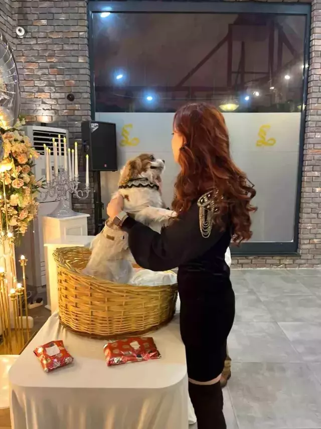 Köpeğinin yeni yaşını 150 kişinin katıldığı partiyle kutladı