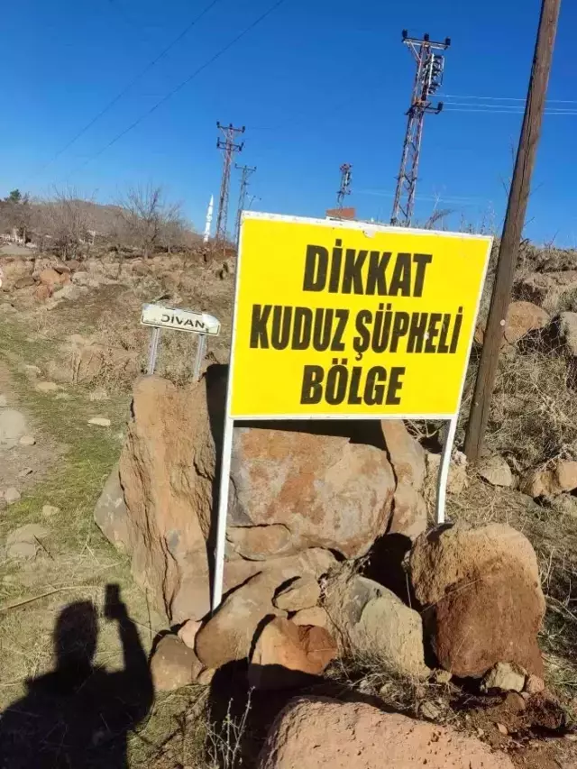 Kuduz köpek 3 kişiyi ısırdı, bölge karantinaya alındı