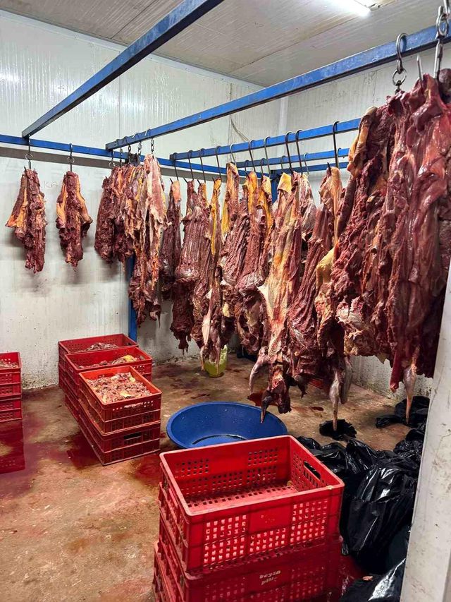 Adana'da 3 Ton Bozulmuş Et Ele Geçirildi