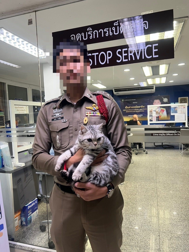 Tayland'da Agresif Kedi Polislerden Sabıka Yüzünden Gözaltına Alındı