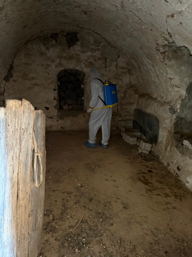 Şırnak'ta şap hastalığı tespit edildi, bir köy karantinaya alındı