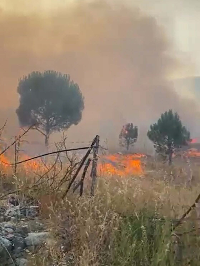 Balıkesir'de tarım arazisinde yangın! Alevlere müdahale devam ediyor