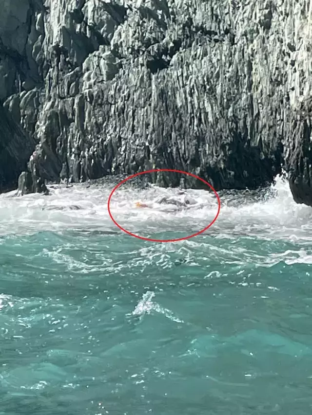 İş insanı Halit Yukay'ı 13 kurbağa adam arıyor! Kayalıklara vurmuş tekne parçaları bulundu