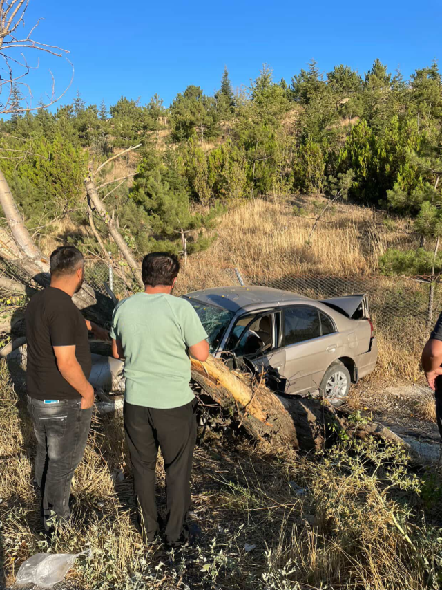 Trafik Kazası