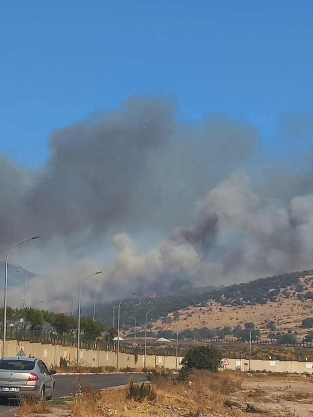 İzmir'in Buca ve Aliağa ilçelerinde orman yangını