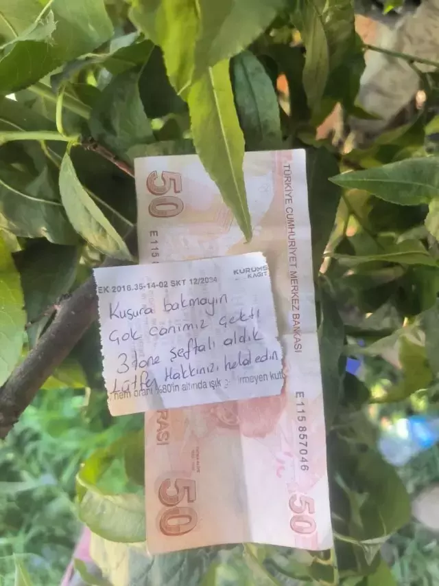 Şeftali alan vatandaş, çiftçiye para ve not bıraktı