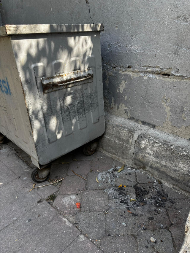 İstanbul'da çöpte yanmış bebek cesedi bulundu