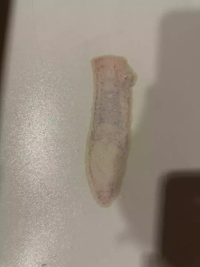 Kız yurduna tadilat için gelen işçilerin yaptıkları mide bulandırdı: Sütyenlerin içine...