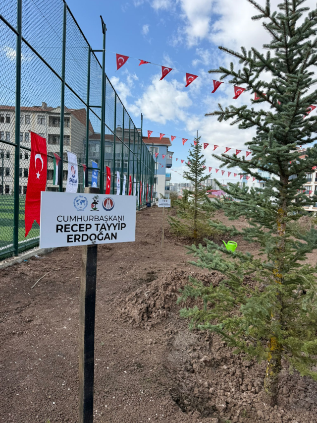 Filistinli şehit gazeteciler anısına fidanlar Ankara'da toprakla buluştu