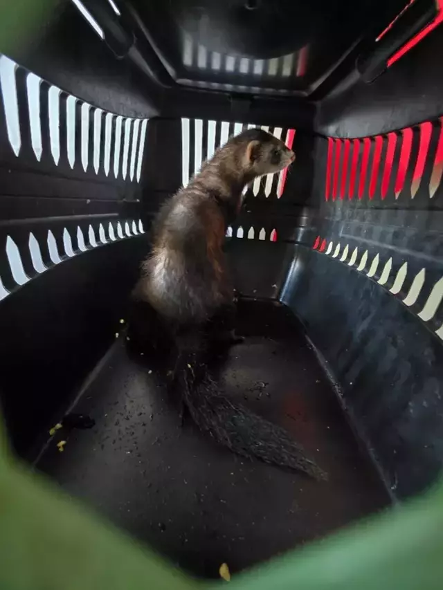 Daha 18 yaşında! Satmaya çalıştığı şeyi fark edenler telefona sarıldı