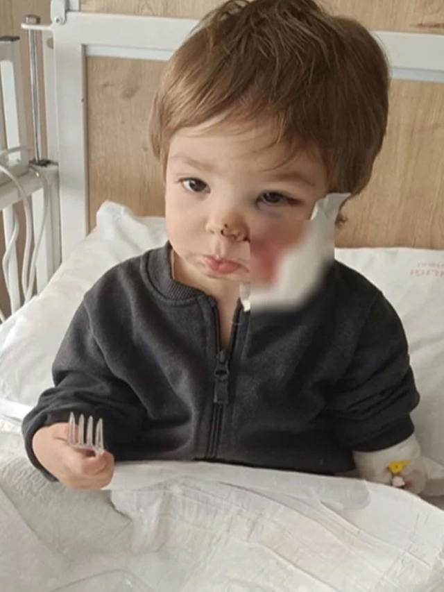 2 kardeşi yaralayan pitbullun sahibi: Köpeğim koruma içgüdüsüyle saldırdı