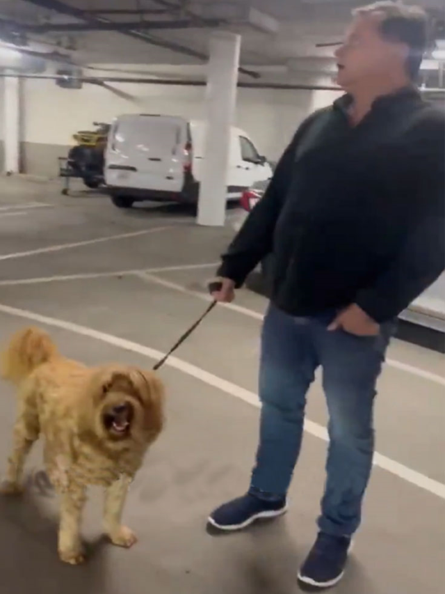 Yaşlı adamın yaptığı hem köpeğin hem de sahibinin ağızlarını açık bıraktı