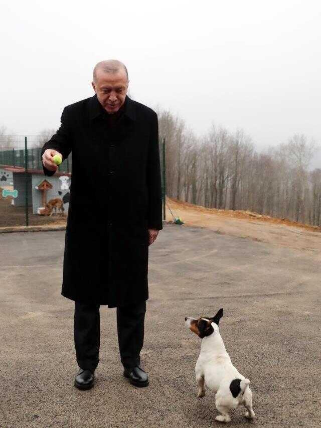Cumhurbaşkanı Erdoğan, hayvan barınağında Maylo ile oynadı
