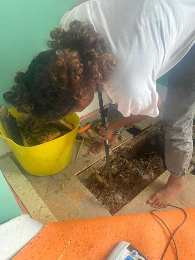 Duvardan ve yerden bal fışkırdı! Genç çift evlerinden 20 çuval bal peteği çıkardı Duvardan ve yerden bal fışkırdı! Genç çift evlerinden 20 çuval bal peteği çıkardı