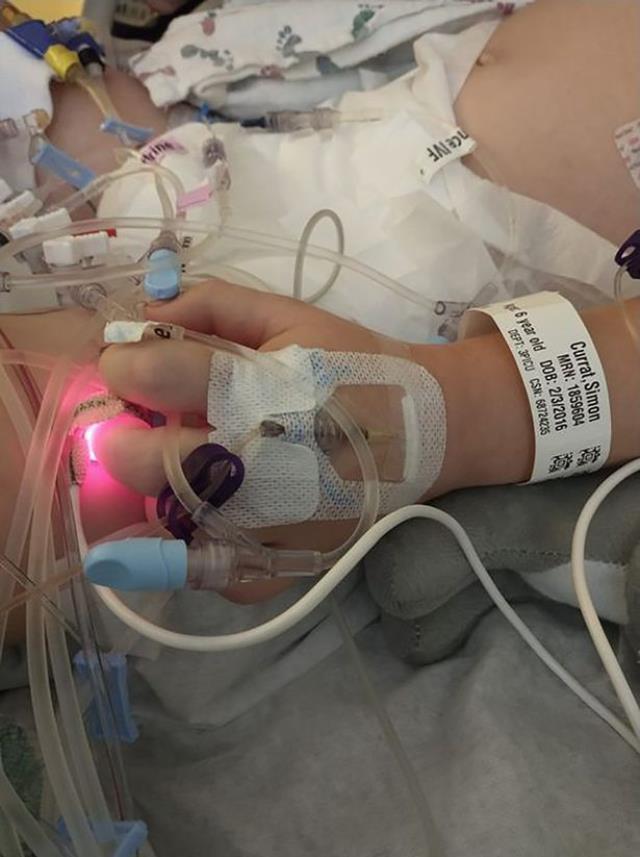 Sıcaklar artınca her taraftan fışkırdılar! Çıngıraklı yılanın ısırdığı çocuk öldü