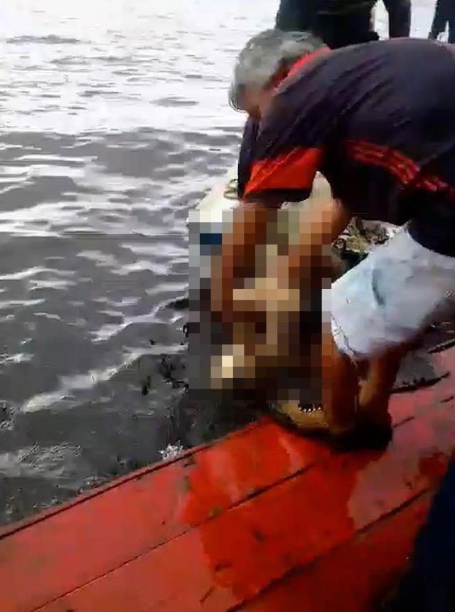 Pirana dolu nehre düştü, saatler sonra sadece kemikleri çıkarılabildi