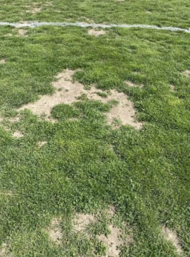 Türk futbolunun utanç kareleri! Başakşehir maçından gelen fotoğraflar pes dedirtti