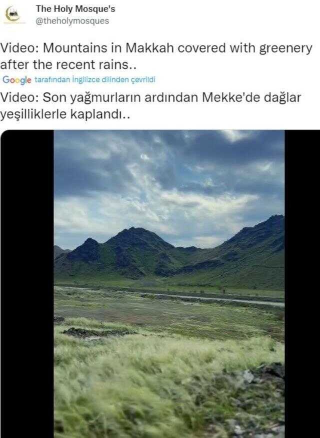 Yağıştan dolayı Mekke ve Medine'nin dağlarının yeşile döndüğü iddiası doğru