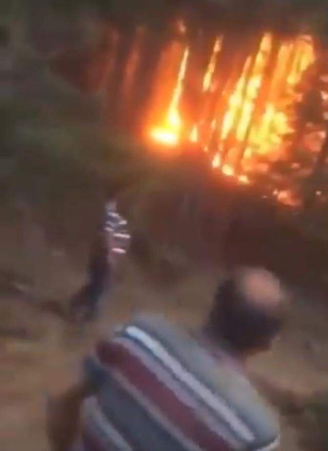 Antalya'da devam eden yangın 1500 yılkı atının yaşam alanı olan Eynif Ovası'nı da sardı
