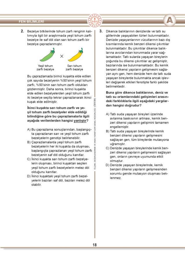 LGS Cevap Anahtarı 2022: A, B, C ve D kitapçığı LGS soru ve cevapları! LGS kitapçığı soru ve cevap anahtarı! LGS kitapçığı!