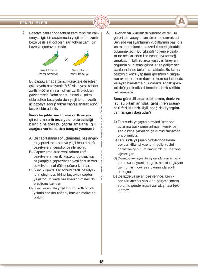 LGS soruları yayınlandı mı? MEB 2022 LGS soruları ve cevap anahtarı!