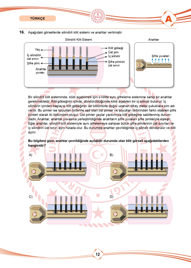LGS soru cevapları! 2025 LGS Türkçe, Matematik, Fen Bilimleri, İnkılap Tarihi, İngilizce, Din Kültürü SÖZEL -SAYISAL soru cevapları PDF indir – oku!