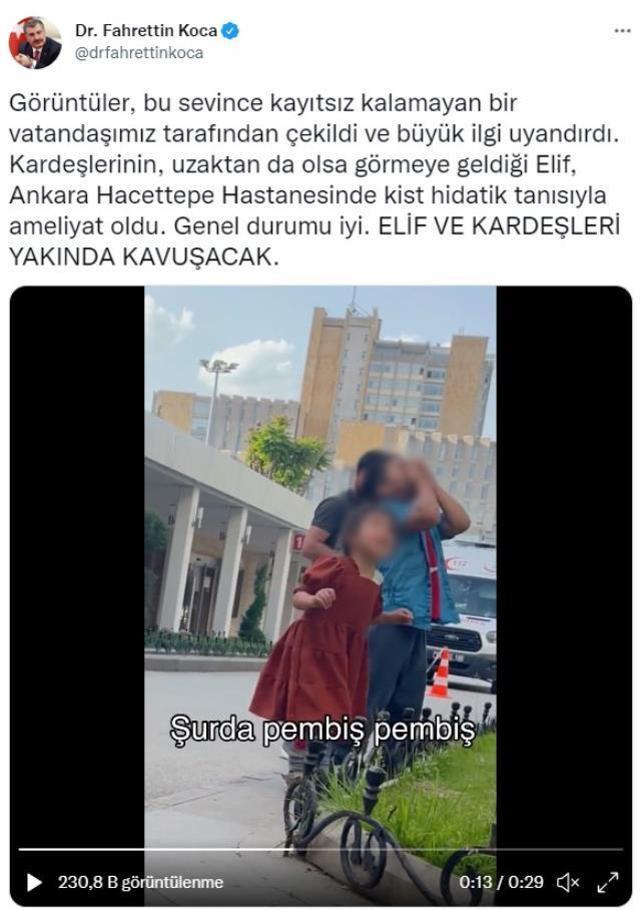 Bakan Koca: Elif ve kardeşleri yakında kavuşacak