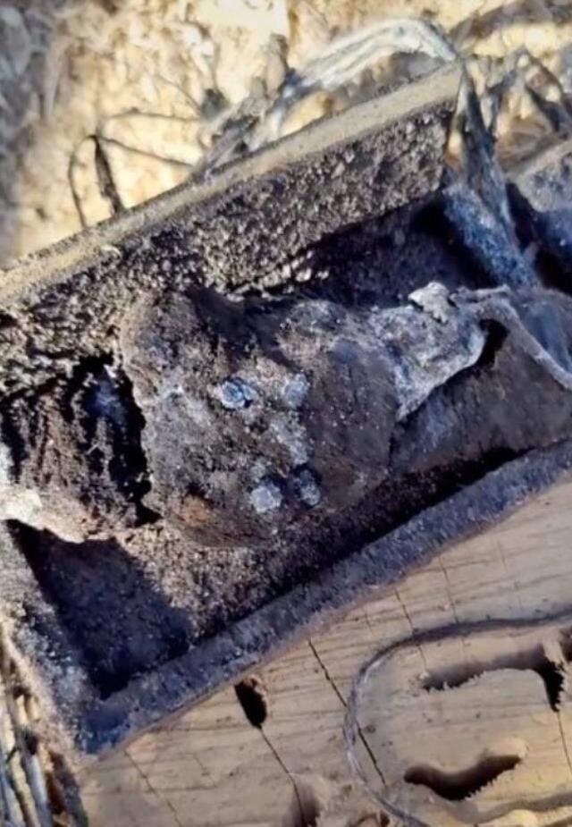 Terk edilmiş mezarlıkta kazı yapan adamın çıkardığı kutunun içindeki nesne görenleri ürküttü