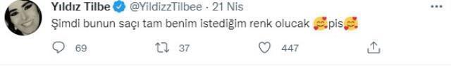 Daha önce 'Saldırgan köpekleri zehirleyin' diyen Yıldız Tilbe, bu sefer de kedisinin tüylerine kına yaktı