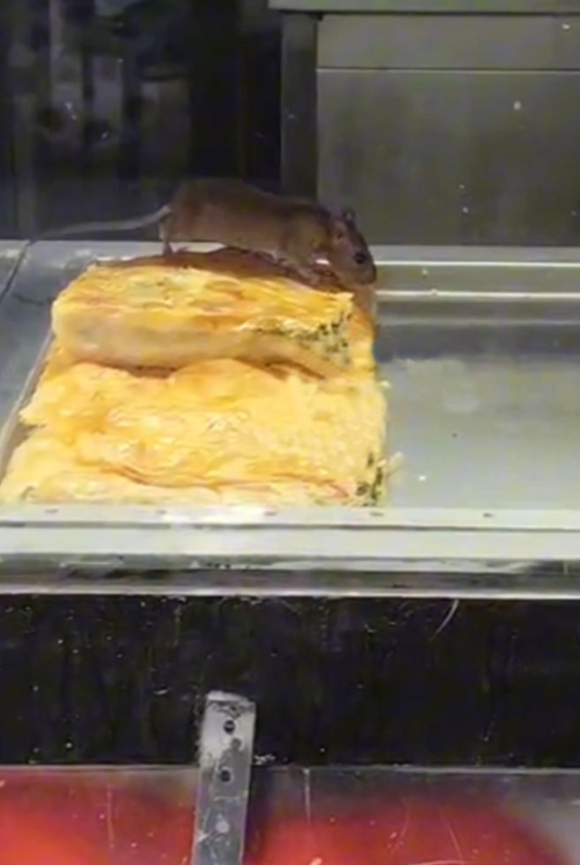 Burası Hindistan değil Türkiye! Böreği insanlardan önce fare yedi